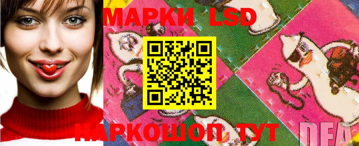 Марки N-bome 1500мкг  Вход с VPN  цена   Знаменск 