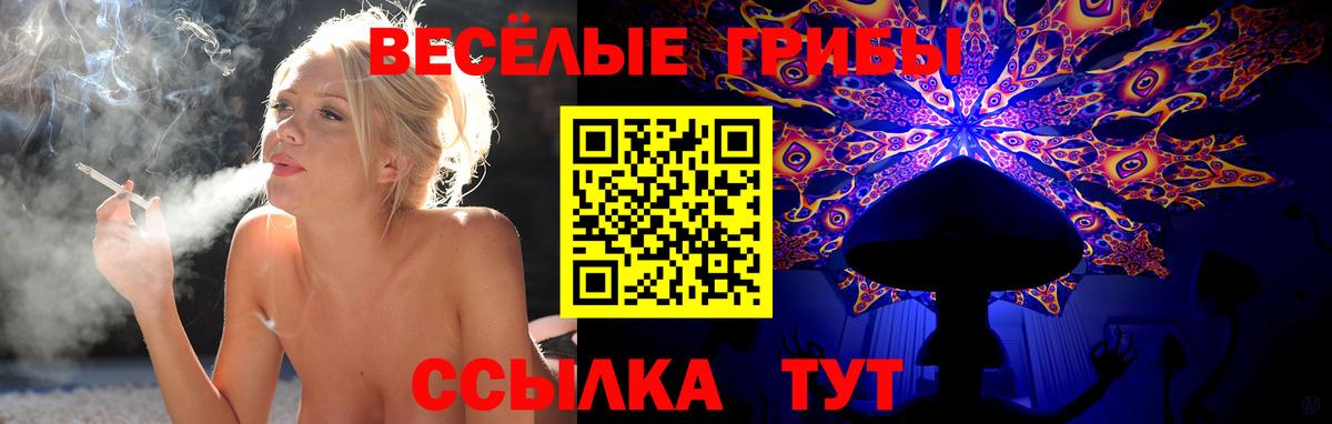 Псилоцибиновые грибы GOLDEN TEACHER Знаменск