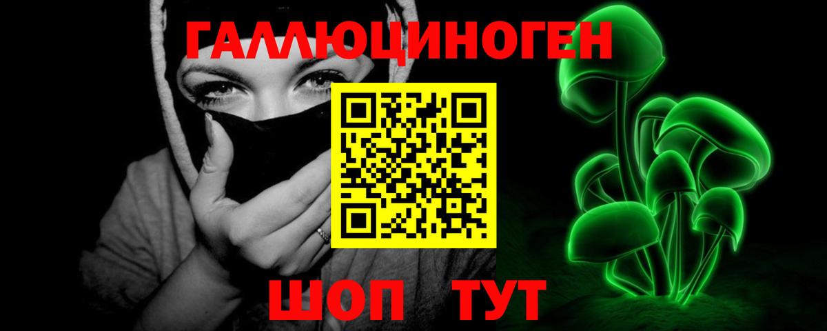 Знаменск  Псилоцибиновые грибы MAGIC MUSHROOMS  Вход с VPN 